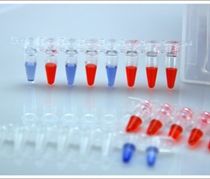 PCR & qPCR